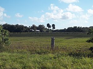 Vero Beach FL Treasure Hammock Ranch Farmstead02