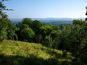 View from Ashford Hanger - geograph.org.uk - 955799