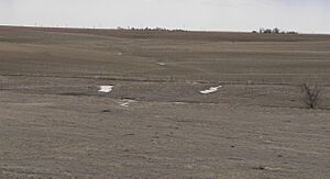 Water Holes Ranch (Cheyenne County, Nebraska) ruts