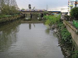 Waterworks River in Stratford - geograph.org.uk - 792226