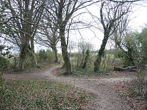 Within Nine Wells LNR - geograph.org.uk - 751806
