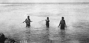 Women fishing with nets, Truk (1899-1900)