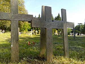 Wooden crosses in St Pancras & Islington Cemetery