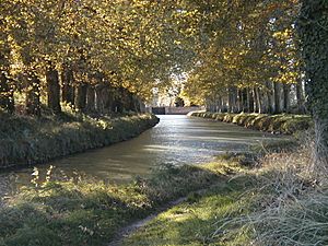 Xvolks canal du midi 01