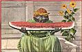 1900sc Postcard-Watermelon 04