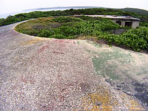 1aBanksbatrycapebnks0033