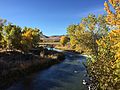 2015-10-30 10 03 07 View south up the Poplar-lined Truckee River during autumn from the Main Street (Nevada State Route 427) bridge in Wadsworth, Nevada