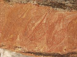 Aboriginal art barramundi rock art