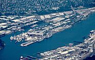 Aerial view of Swan Island in Portland, Oregon, from west in June 2018.jpg