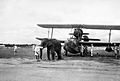 An elephant pulling a Supermarine Walrus aircraft into position at a Fleet Air Arm station in India, June 1944. A24291