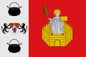 Bandera de San Pelayo