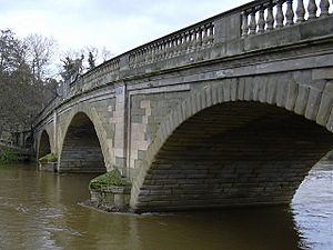 Bewdley Bridge from Severnside North