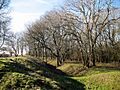 Cadbury Camp Ramparts - geograph.org.uk - 697213