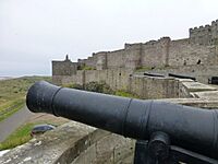 Cannons at Bamburgh Castle - geograph.org.uk - 4087388