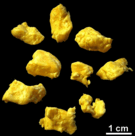 Cheese Curds with scale measurement.png