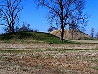 Two burial mounds rise above flat, green grass with a trees in the background.