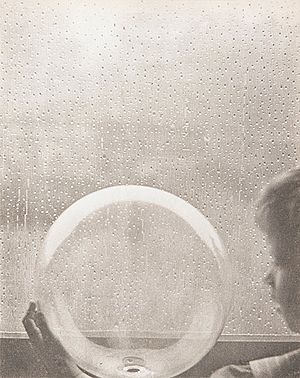 Clarence H. White (1871-1925)- Drops of rain (1903)