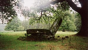 Cloch an Draoi (Druid's Altar)