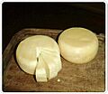 Colony cheese