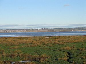 Dee estuary2