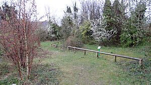 Devonshire Avenue Nature Area 1