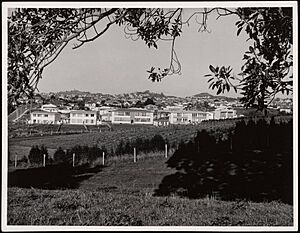 Duplex flats and units, Haverstock Road, Sandringham, Auckland (1960)
