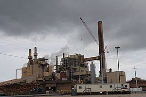 Eagle Paper and Flouring Mill Kaukauna