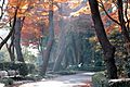 East Garden Edo Castle Tokyo photo D Ramey Logan