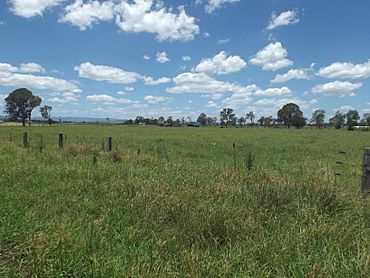 Fields along Alan Creek Road at Gleneagle, Queensland 2.jpg