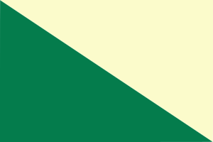Flag of Huánuco