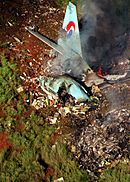 Flugzeugabsturz Korean Airlines Flug 801