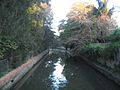 Hawthorne Canal from footbridge at Haberfield NSW