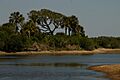 Jacks creek bulls island