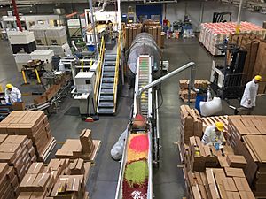 Jelly Belly jellybean manufacturing (24069906686)