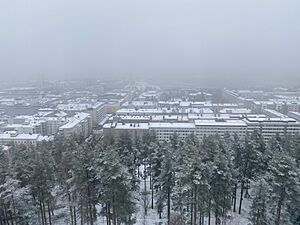 Jyväskylä winter view from Harju