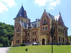Károlyi-kastély (Kastélyhotel Sasvár) (5819. számú műemlék)