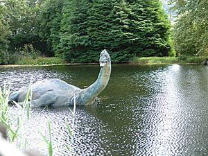 Lochneska poboba museumofnessie