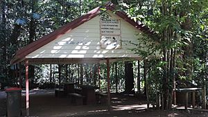Malanda Falls picnic shed, 2016