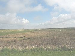 Malltraeth Marsh and the Cefni flood embankment - geograph.org.uk - 781610