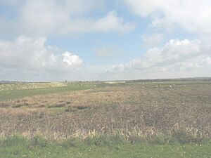 Malltraeth Marsh and the Cefni flood embankment - geograph.org.uk - 781610