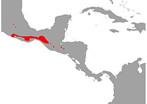 Micrurus browni Map.jpg