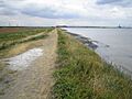 Mucking Flats - geograph.org.uk - 220363