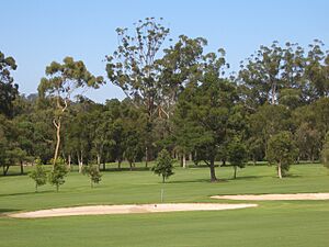 Oatlands Golf Course 2