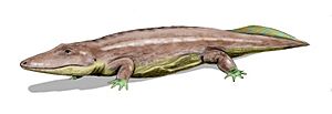 Parotosuchus BW