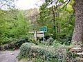 Path Junction (geograph 5567138)