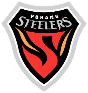 Pohang Steelers emblem (5 stars).svg