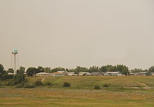 Panorama of Poplar