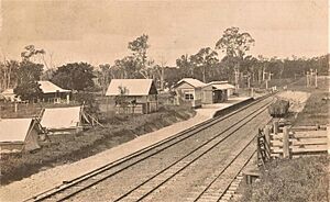 Railway Station, Lowmead, Qld - 1916