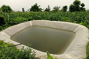 Rainwater Harvesting and Plastic Pond 2