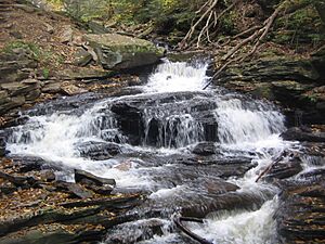 Ricketts Glen State Park Seneca Falls 1
